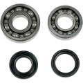 MOOSE CRANK BEARING/SLS YFS200