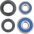 BEARING RR WHEEL TTR