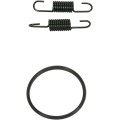 SPRING/ORING KIT RM250
