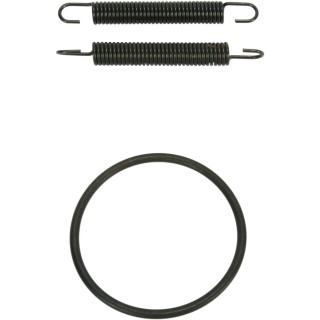 SPRING/ORING KIT YZ250