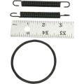 SPRING/O-RING KIT 250R