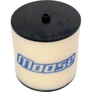 AIR FILTER 250EX/RECON/SPTRX