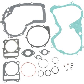MSE MTR GASKET BEARCAT 300