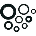 MSE MTR SEALS CR250/500