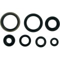 MSE MTR SEALS RM125'92-97
