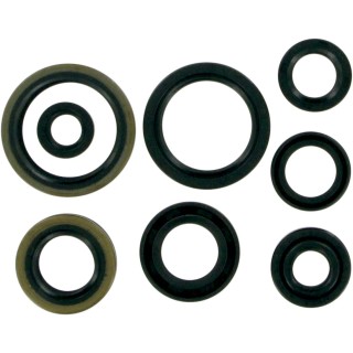 MSE MTR SEALS RM125 98-