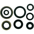 MSE MTR SEALS RM125 98-