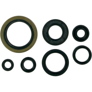MSE MTR SEALS RM250'89-93