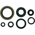 MSE MTR SEALS RM250'89-93