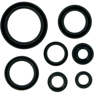 MSE MTR SEALS RM250 96-02