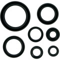 MSE MTR SEALS RM250 96-02