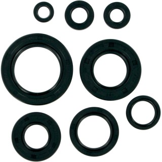 MTR SEALS ATC/TRX 250