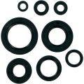 MTR SEALS ATC/TRX 250