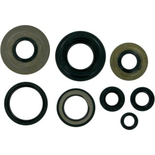 MSE MTR SEALS YFM350