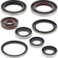 Oil Seal Kit