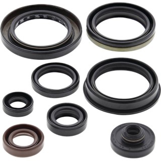 Oil Seal Kit
