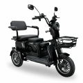 Elektrinis triratis motoroleris SL-04 (IŠPARDUOTA, PAPILDYMAS 06.05)