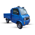Elektrinis krovininis keturratis motoroleris FL-10 (IŠPARDUOTA, PAPILD
