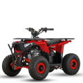 Benzininis keturratis AFU 110cc tik 849,00  EUR - Keturračiai