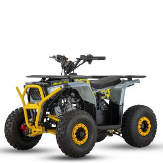 Benzininis keturratis AFU 110cc tik 849,00  EUR - Keturračiai