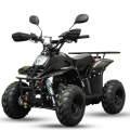 Benzininis keturratis CLARX BR6 110cc tik 789,00  EUR - Keturračiai