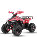 Benzininis keturratis Monkey Mudhawk 110