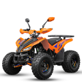 Benzininis keturratis Mankius Coyote 125cc