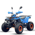 Benzininis keturratis Monkey Tao shark 125