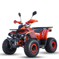 Benzininis keturratis Monkey Tao shark 125