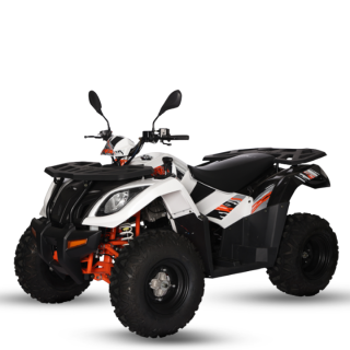 Benzininis keturratis KAYO AU300 EFI T3B