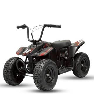 Elektrinis keturratis Mankius Thunder 250w 24V (2-5m)