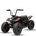 Elektrinis keturratis Mankius Thunder 250w 24V (2-5m)