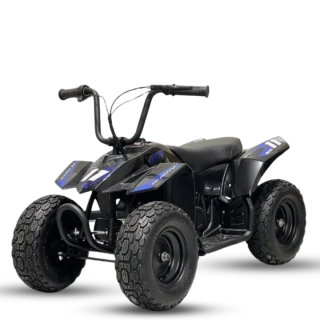 Elektrinis keturratis Mankius Thunder 250w 24V (2-5m)