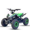 Elektrinis keturratis Mankius Spider 1000w 36V(3-7m)