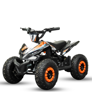Vaikiškas Elektrinis keturratis Mankius Spider 1000w 36V(3-7m)