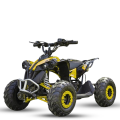 Vaikiškas Elektrinis keturratis Monkey Ren 1200w