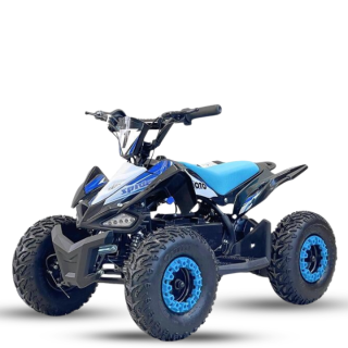 Elektrinis keturratis Mankius Spider 1000w 36V(3-7m)
