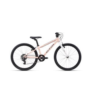 Dviratis Rocky SL 24"