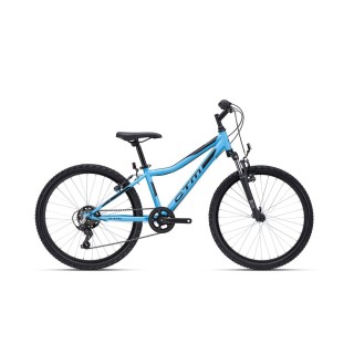 Dviratis Berry 24''