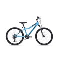 Dviratis Berry 24''