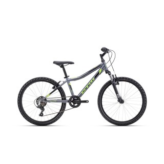 Dviratis Berry 24''