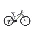 Dviratis Berry 24''