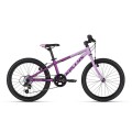 KELLYS Kiter 30 20" // 6G, dydis 10" (25 cm) (violetinė/rožinė)