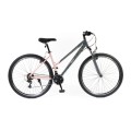 Dviratis 28" Olpran SALIX pilka/rožinė spalva
