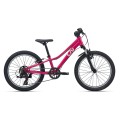 Liv Tempt 20 20" // 7G, dydis: 9" (23 cm) (rožinė)