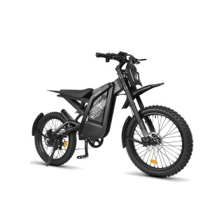 GT2000 elektrinis dviratis off-road dirt bike