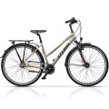 CROSS Citerra 28" N7 dydis 19" (48cm) (šampaninė)