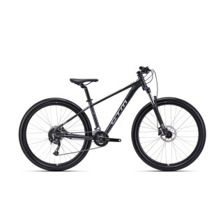 Dviratis Rein 2.0 29"