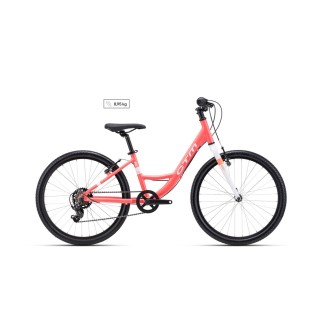 Dviratis Missy 24"