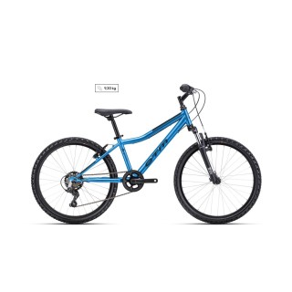 Dviratis Berry 24"